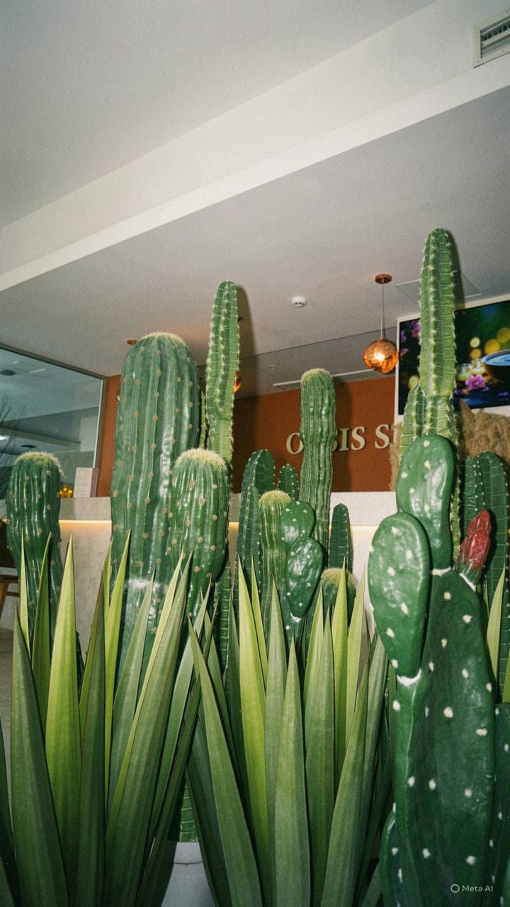 Cacti against the clay wall